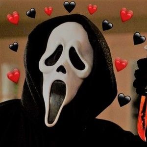 Meet your Posher, Allie